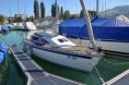Friendship 25 ZG 338